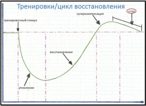 Можно ли качаться каждый день? 02