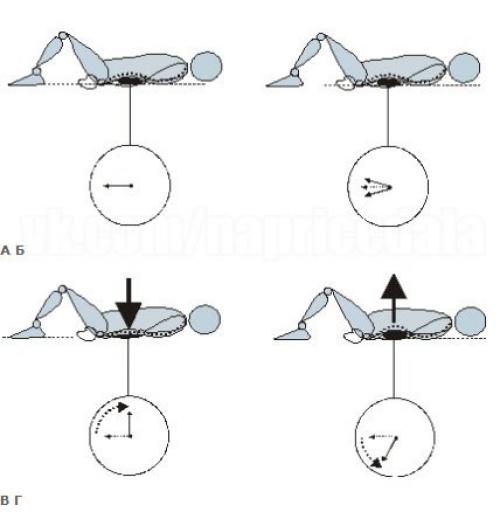 Остеохондроз: Жалеть или закачивать спину? 01 Остеохондроз: Жалеть или закачивать спину? 01
