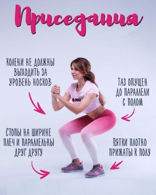 Каллоза, подсвеченная голубым, покрывает поверхность трихомы - одноклеточного волоска на теле растения. 05