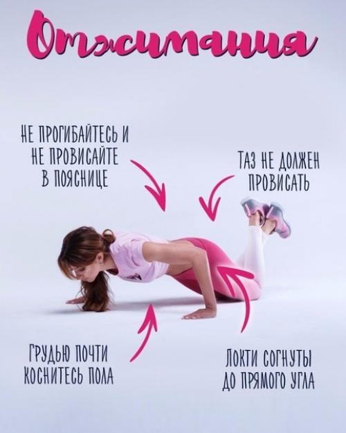 Каллоза, подсвеченная голубым, покрывает поверхность трихомы - одноклеточного волоска на теле растения. 04