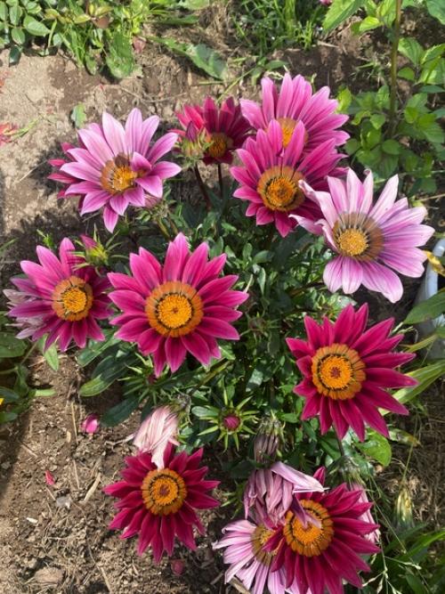 Доброго времени, уважаемые коллеги! 05