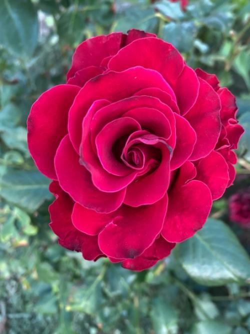 Доброго времени, уважаемые коллеги! 07