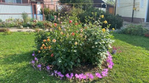 Доброго времени, уважаемые коллеги! 06