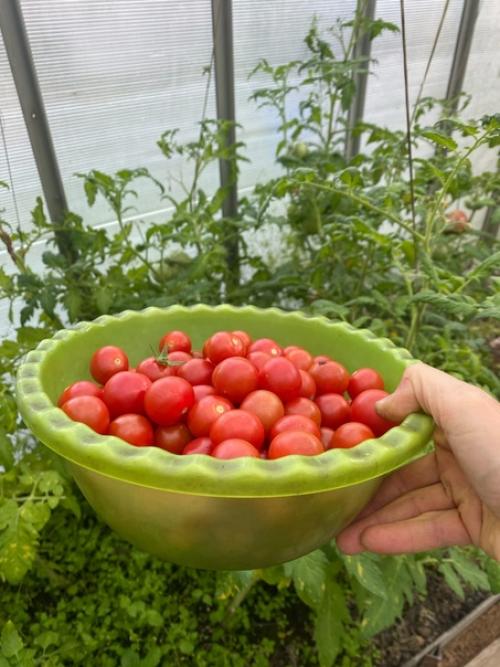 Доброго времени, уважаемые коллеги! 08