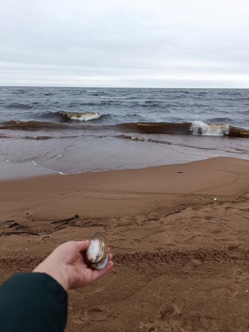 Итак, я ранее собирала команду для похода на 70-80 км. 08