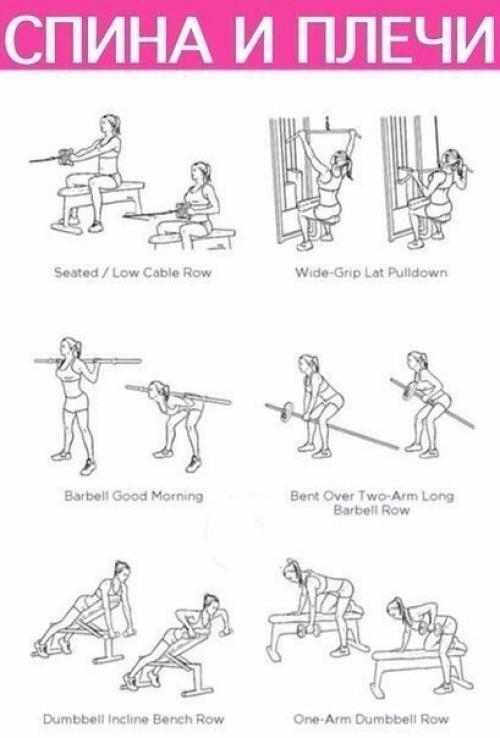 Прокачка всего тела в картинках в тренажерном зале для девушек. 03