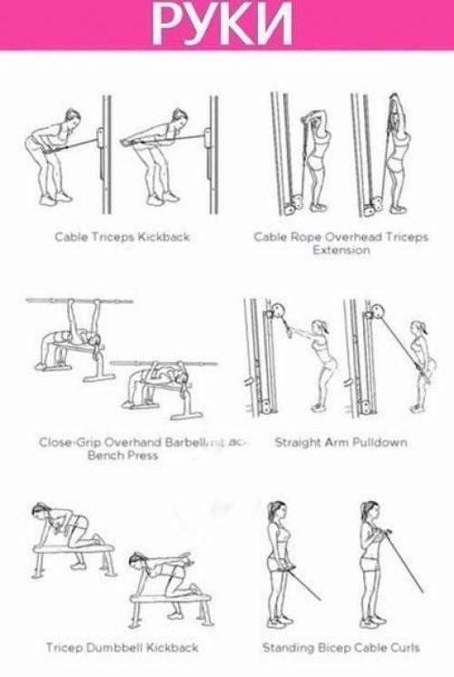 Прокачка всего тела в картинках в тренажерном зале для девушек. 02