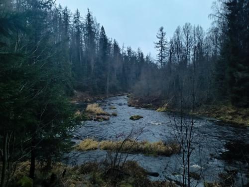 Итак, я ранее собирала команду для похода на 70-80 км. 03