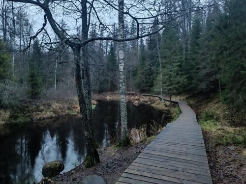 Итак, я ранее собирала команду для похода на 70-80 км. 02