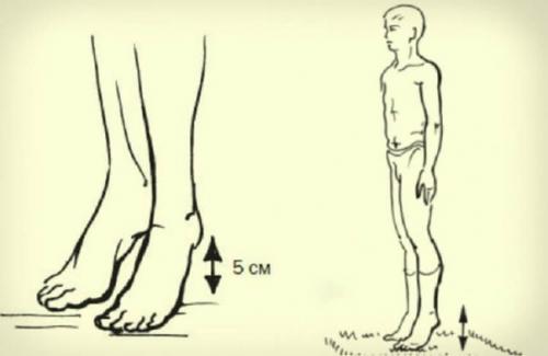 Лимфоренажные упражнения. Благодарю за каждый. 02 Лимфоренажные упражнения. Благодарю за каждый. 02