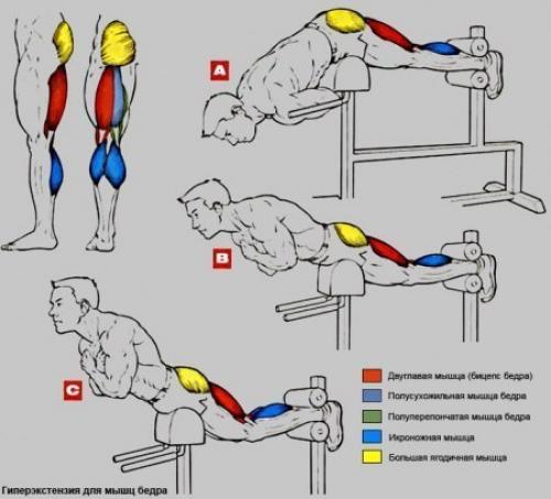 Упражнения на бедро - ягодицы. 01 Упражнения на бедро - ягодицы. 01