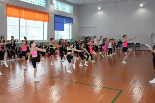 15 ноября в гимнастическом зале центра детского творчества прошел муниципальный фестиваль по фитнес - аэробике Фитнес - Трофи. 04