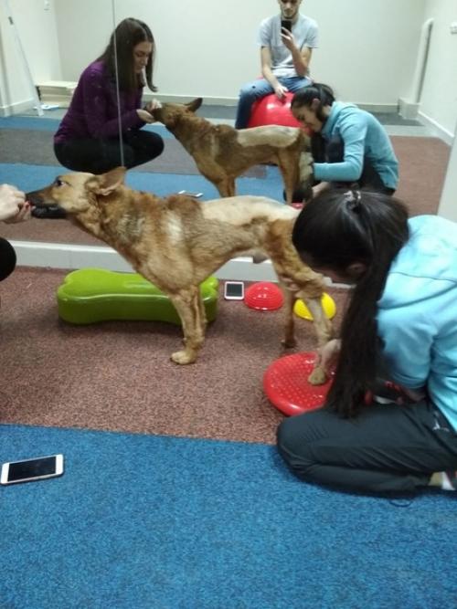 Кто ходит на фитнес по утрам, тот лакки_бк. 01