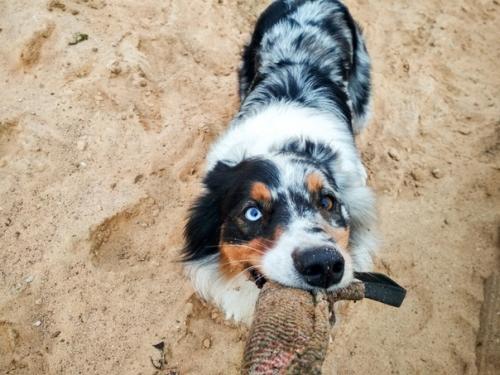 25 тренировокдоновогогода. 3/25. Не смотря на ветер погода была прям ауссячья - лёгкий мороз и солнышко. 01