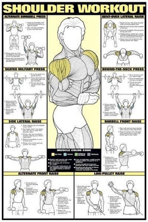 Мы прокачаем все тело? 03 Мы прокачаем все тело? 03