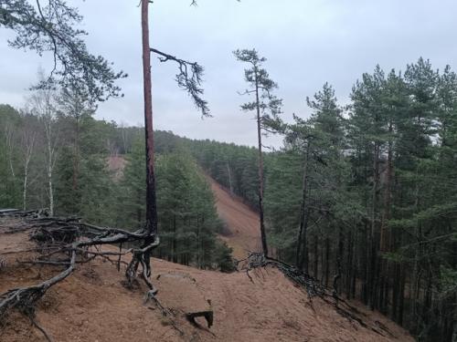 Итак, я ранее собирала команду для похода на 70-80 км. 07