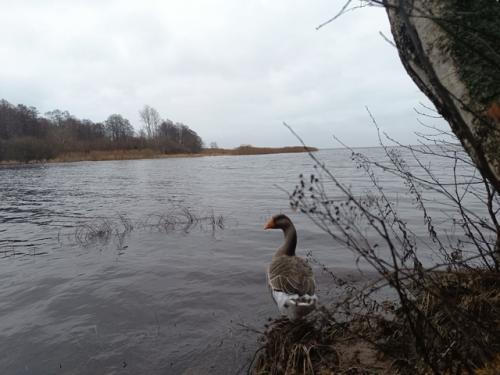 Итак, я ранее собирала команду для похода на 70-80 км. 04