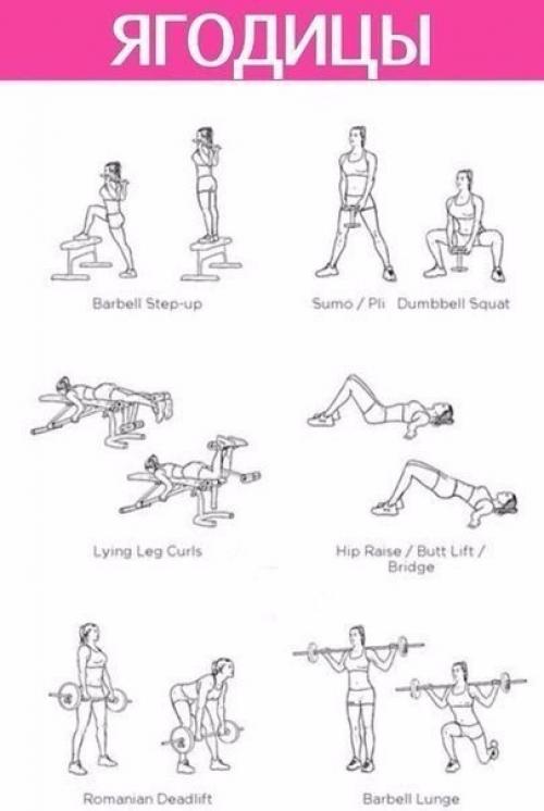 Прокачка всего тела в картинках в тренажерном зале для девушек. 06