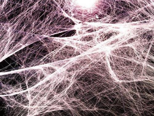 8 ключевых моментов, которые нужно знать о фасциях. 01 8 ключевых моментов, которые нужно знать о фасциях. 01