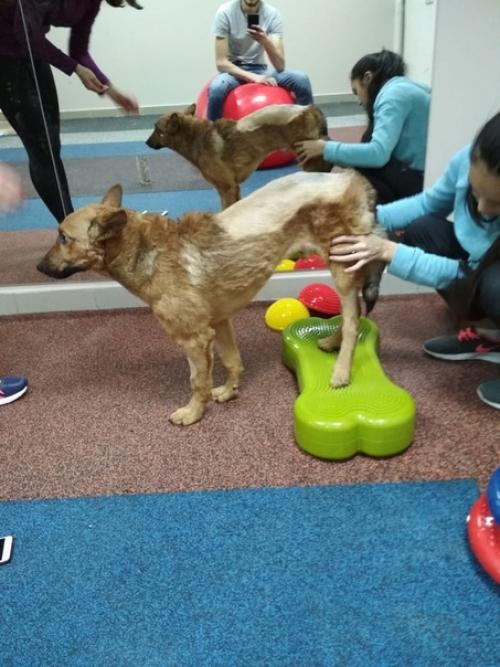 Кто ходит на фитнес по утрам, тот лакки_бк. 02