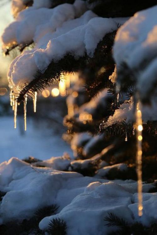 Доброе утро. Улыбнись. 05