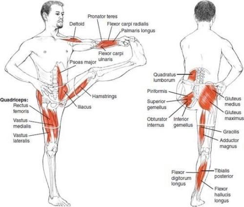 После тренировки и отдельной тренировкой растягиваемся! 05