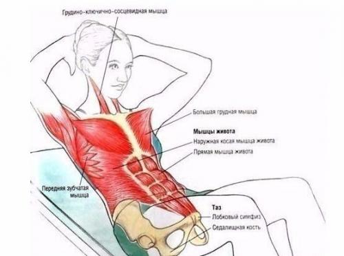 Тренировка для начинающих в спортзале? 04