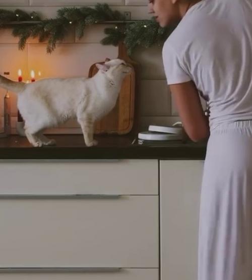 Эпизод 941.  Пушистый пожар.
