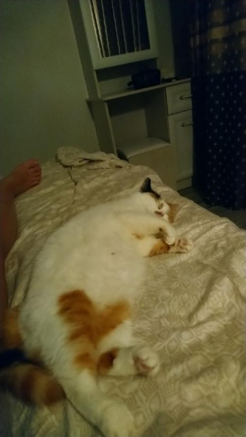 И снова приятное завершение дня очередным фотоприветом. 05