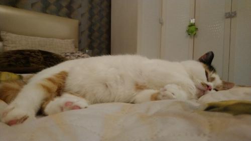 И снова приятное завершение дня очередным фотоприветом. 06