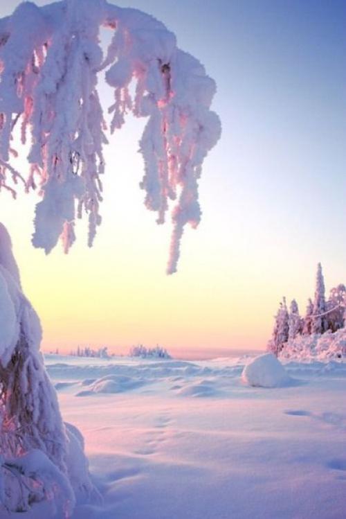 Доброе утро. Улыбнись. 01