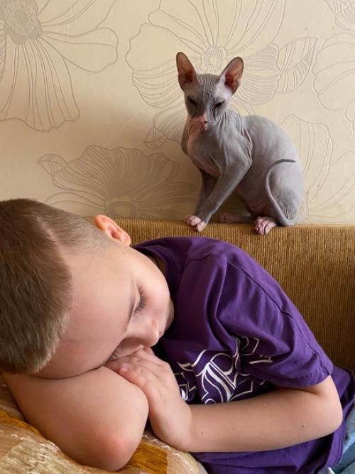 Пора подводить итоги года: 08 Пора подводить итоги года: 08