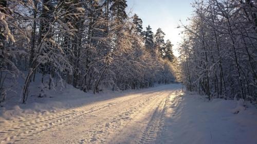 Эй. Расскажу вам о нашем спортивном лагере в Карелии. 04 Эй. Расскажу вам о нашем спортивном лагере в Карелии. 04
