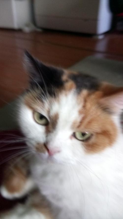 И снова приятное завершение дня очередным фотоприветом. 07