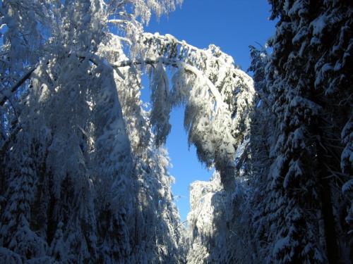 Из личного.   Зима. 01