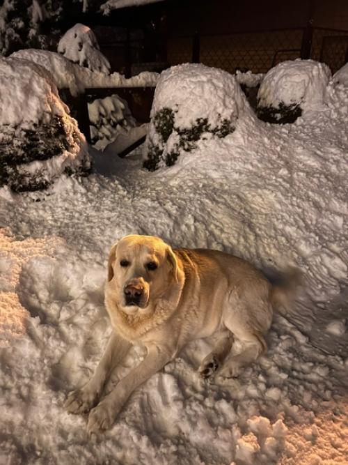 В последнее время у меня редко получается провести целый день дома, но в эту субботу выдался именно такой день. 03