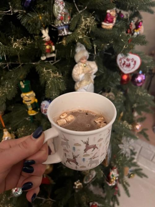 В последнее время у меня редко получается провести целый день дома, но в эту субботу выдался именно такой день. 07