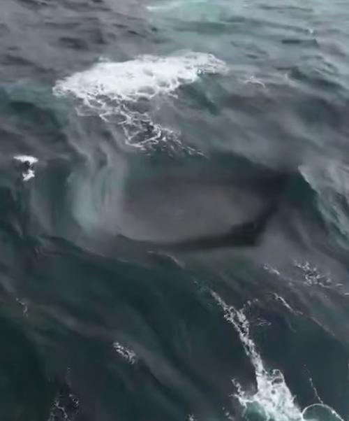 Эпизод 943.  Четырехволновая встреча.
