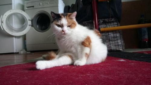 И снова приятное завершение дня очередным фотоприветом. 04