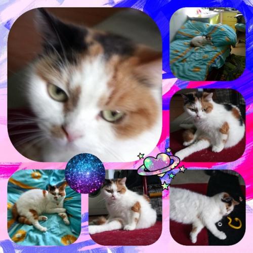 И снова приятное завершение дня очередным фотоприветом. 02