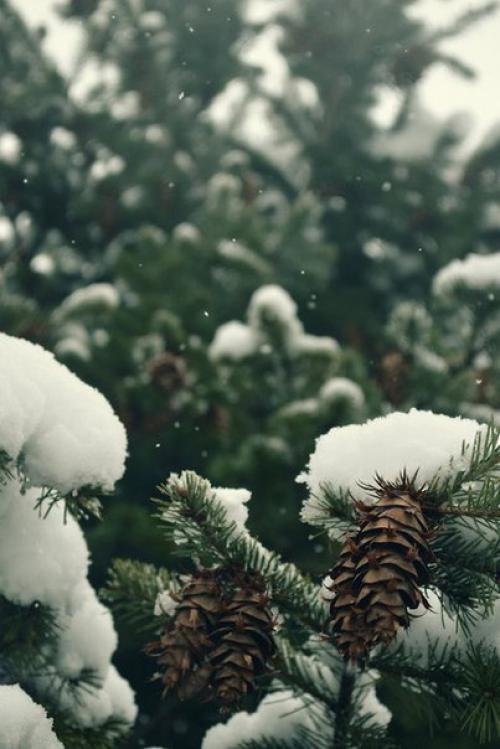 Доброе утро. Улыбнись. 04