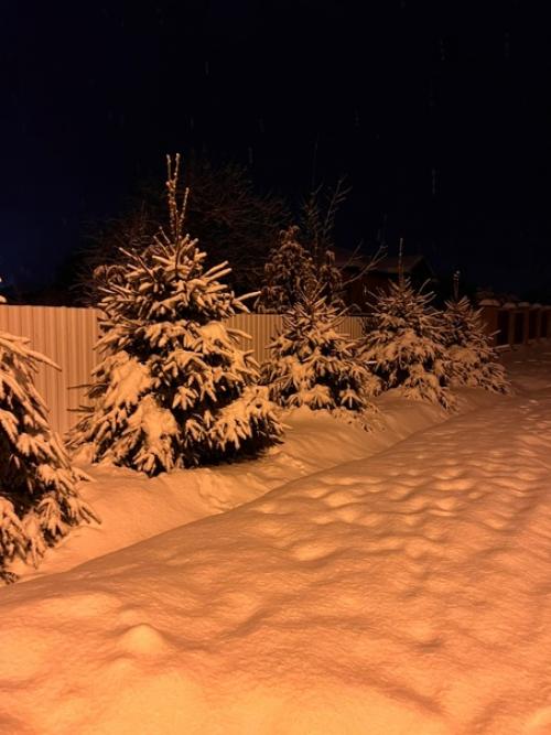 В последнее время у меня редко получается провести целый день дома, но в эту субботу выдался именно такой день. 02