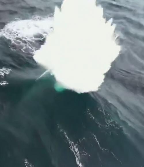 Эпизод 943.  Четырехволновая встреча. 01