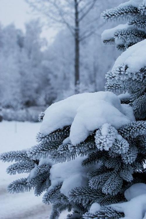 Доброе утро. Улыбнись. 03