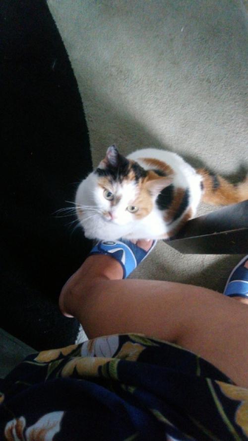 И снова приятное завершение дня очередным фотоприветом. 03