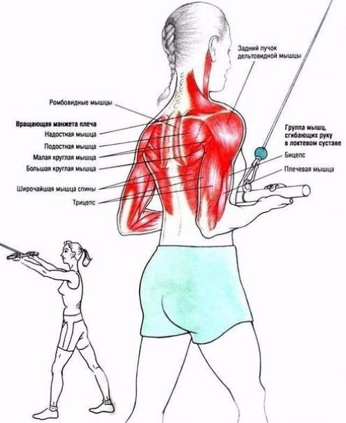 Тренировка для начинающих в спортзале? 03