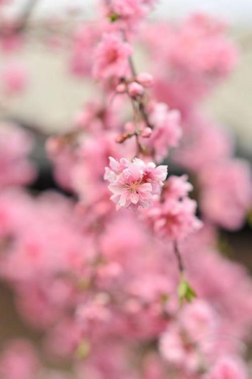 Доброе утро. Вы достойны самого лучшего, поверьте. 03