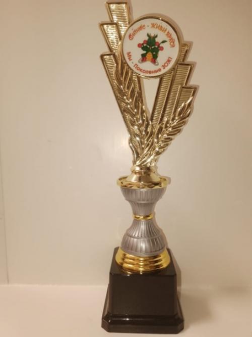 Финал Фитнес - Фестивалямы - поколение зож-2024. 01