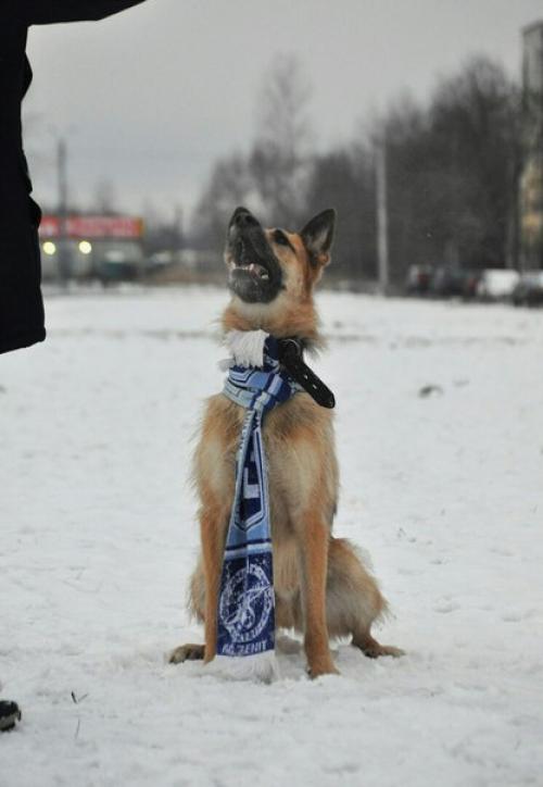 Юлия капитан. Взгляд изнутри. Юлия капитан.