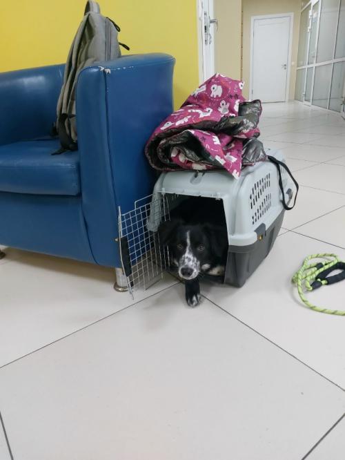 У большого джета случилось маленькое путешествие.
